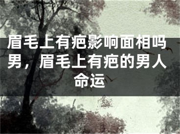 眉毛上有疤影响面相吗男，眉毛上有疤的男人命运