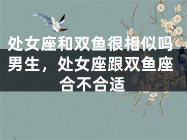 处女座和双鱼很相似吗男生，处女座跟双鱼座合不合适