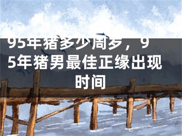 95年猪多少周岁，95年猪男最佳正缘出现时间