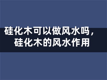 硅化木可以做风水吗，硅化木的风水作用