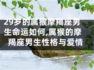 29岁的属猴摩羯座男生命运如何,属猴的摩羯座男生性格与爱情