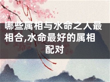哪些属相与水命之人最相合,水命最好的属相配对
