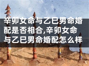 辛卯女命与乙巳男命婚配是否相合,辛卯女命与乙巳男命婚配怎么样