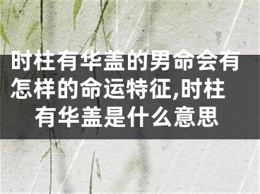 时柱有华盖的男命会有怎样的命运特征,时柱有华盖是什么意思