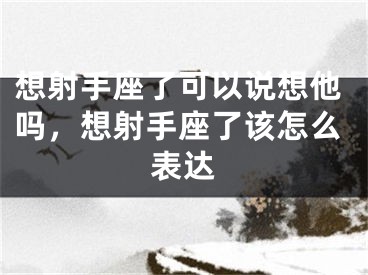想射手座了可以说想他吗，想射手座了该怎么表达