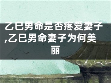乙巳男命是否疼爱妻子,乙巳男命妻子为何美丽