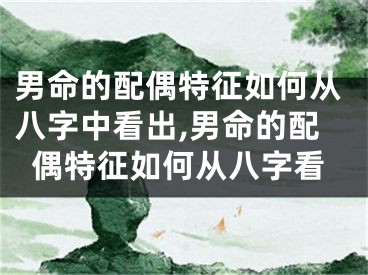 男命的配偶特征如何从八字中看出,男命的配偶特征如何从八字看