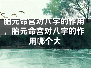 胎元命宫对八字的作用，胎元命宫对八字的作用哪个大