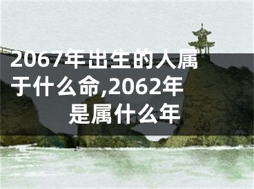 2067年出生的人属于什么命,2062年是属什么年