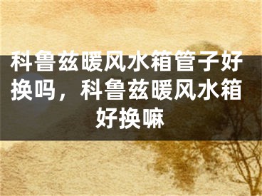 科鲁兹暖风水箱管子好换吗，科鲁兹暖风水箱好换嘛