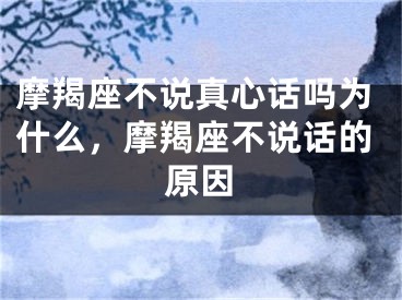 摩羯座不说真心话吗为什么,摩羯座不说话的原因