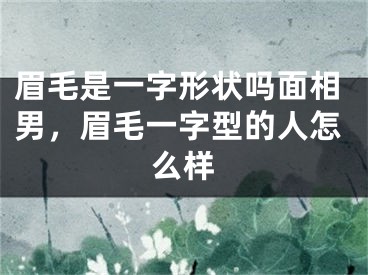 眉毛是一字形状吗面相男，眉毛一字型的人怎么样