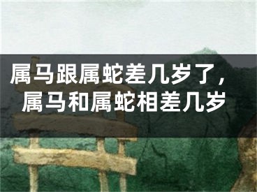 属马跟属蛇差几岁了，属马和属蛇相差几岁