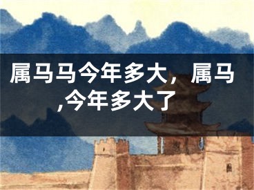 属马马今年多大，属马,今年多大了
