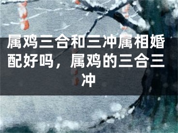 属鸡三合和三冲属相婚配好吗，属鸡的三合三冲