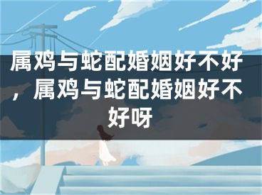 属鸡与蛇配婚姻好不好，属鸡与蛇配婚姻好不好呀