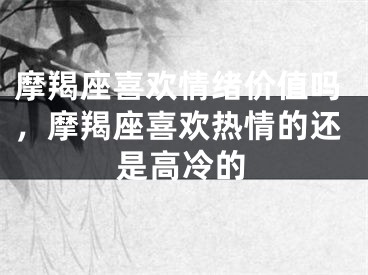 摩羯座喜欢情绪价值吗，摩羯座喜欢热情的还是高冷的