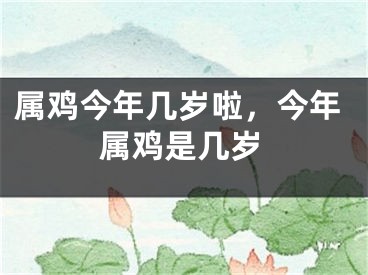 属鸡今年几岁啦，今年属鸡是几岁
