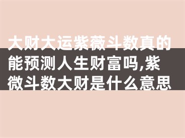 大财大运紫薇斗数真的能预测人生财富吗,紫微斗数大财是什么意思