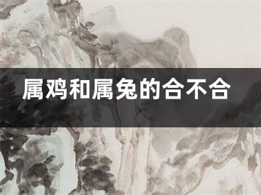 属鸡和属兔的合不合