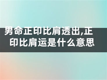 男命正印比肩透出,正印比肩运是什么意思