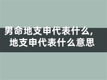 男命地支申代表什么,地支申代表什么意思