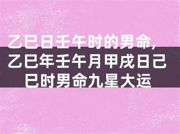乙巳日壬午时的男命,乙巳年壬午月甲戌日己巳时男命九星大运