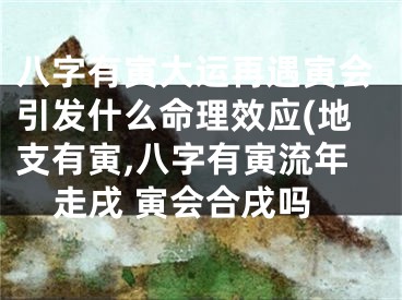 八字有寅大运再遇寅会引发什么命理效应(地支有寅,八字有寅流年走戌 寅会合戌吗