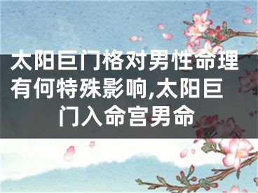 太阳巨门格对男性命理有何特殊影响,太阳巨门入命宫男命