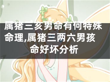 属猪三亥男命有何特殊命理,属猪三两六男孩命好坏分析