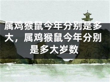 属鸡猴鼠今年分别是多大，属鸡猴鼠今年分别是多大岁数