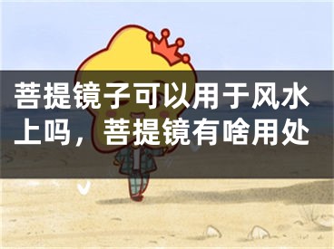 菩提镜子可以用于风水上吗，菩提镜有啥用处