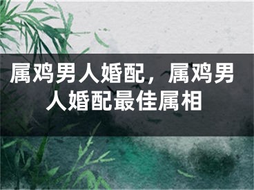 属鸡男人婚配，属鸡男人婚配最佳属相