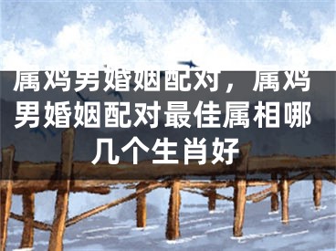 属鸡男婚姻配对，属鸡男婚姻配对最佳属相哪几个生肖好