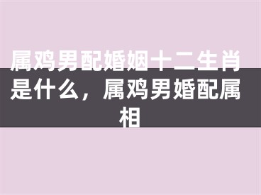 属鸡男配婚姻十二生肖是什么,属鸡男婚配属相