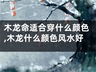 木龙命适合穿什么颜色,木龙什么颜色风水好
