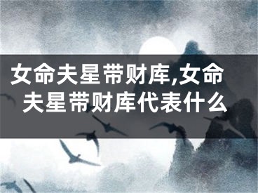 女命夫星带财库,女命夫星带财库代表什么