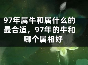 97年属牛和属什么的最合适，97年的牛和哪个属相好