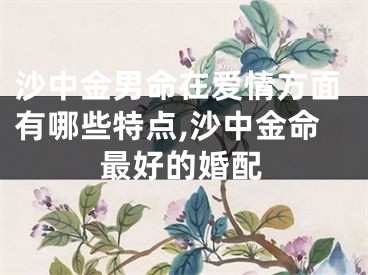 沙中金男命在爱情方面有哪些特点,沙中金命最好的婚配