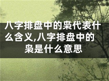 八字排盘中的枭代表什么含义,八字排盘中的枭是什么意思