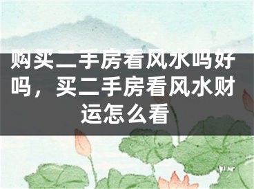 购买二手房看风水吗好吗，买二手房看风水财运怎么看