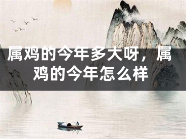 属鸡的今年多大呀，属鸡的今年怎么样