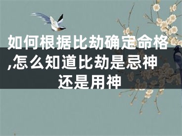 如何根据比劫确定命格,怎么知道比劫是忌神还是用神