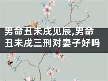 男命丑未戌见辰,男命丑未戌三刑对妻子好吗