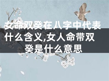 女命双癸在八字中代表什么含义,女人命带双癸是什么意思