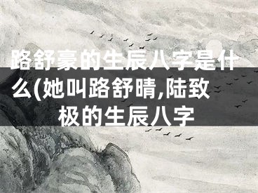 路舒豪的生辰八字是什么(她叫路舒晴,陆致极的生辰八字