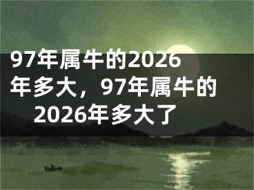 97年属牛的2026年多大，97年属牛的2026年多大了