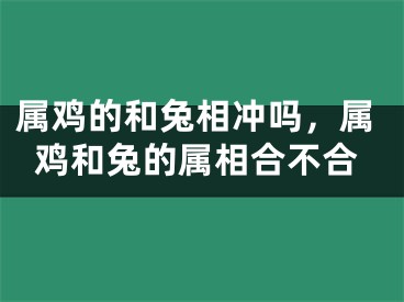 属鸡的和兔相冲吗，属鸡和兔的属相合不合