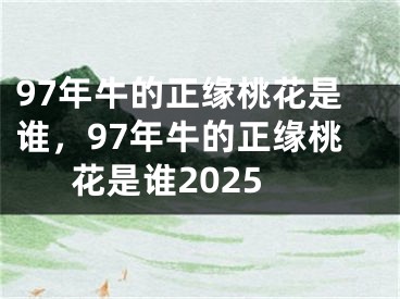 97年牛的正缘桃花是谁，97年牛的正缘桃花是谁2025