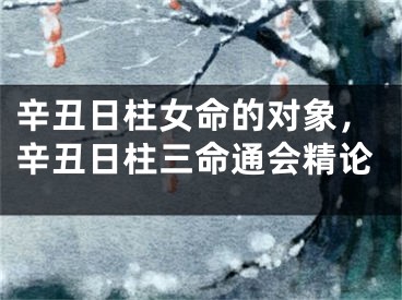 辛丑日柱女命的对象，辛丑日柱三命通会精论